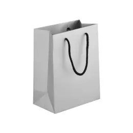 230gsm Matte Gift Bag - 33cm Silver Side
